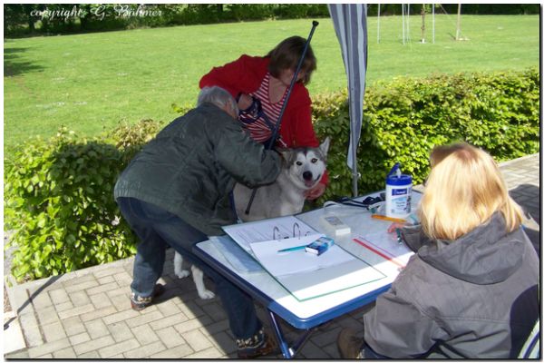 Zuchtzulassung 2010 047.JPG